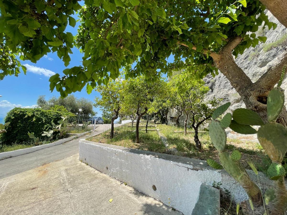 Villetta - Qui Dove Il Mare Luccica - Affitti Brevi Italia Monte Sant'Angelo Ngoại thất bức ảnh